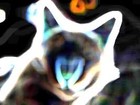 Picture for song '06 - Eggskin - I'm coming' by artist 'Eggskin'