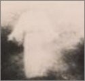 Picture for song 'spirit identity' by artist 'embodied host'