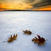 Picture for song 'Memories Of Yesterday' by artist 'Emotive Touch'