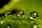 Picture for song 'Rain' by artist 'Engineboy'