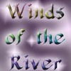 Picture for song 'Winds of the River' by artist 'envisi0n'
