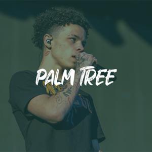 Picture for song 'Lil Mosey x Lil Tecca Type Beat - "PALM TREE"' by artist 'ErieBeats'