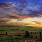 Picture for song 'For those of whom I've never heard of again' by artist 'Ernomani'