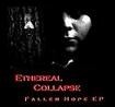 Picture for song 'Fallen Hope' by artist 'Ethereal Collapse'