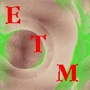 Picture for song 'Wishing Stone' by artist 'ETM'