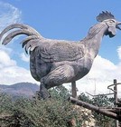 Picture for song 'Mud Chicken' by artist 'Extra Crispy'