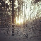Picture for song 'December Sun' by artist 'Fading Sunlight'