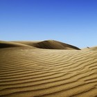 Picture for song 'The Desert' by artist 'fenixxark'