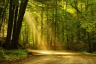 Picture for song 'Happy Trails Down Broken Roads - Alternate Ending' by artist 'FicksFix Productions'