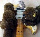 Picture for song 'Boo's Beaver X ing!' by artist 'flatjamboo trax'