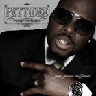 Picture for song 'I'M A VET - Pettidee' by artist 'Flavor Radio Network'