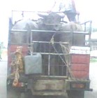 Picture for song 'refuse' by artist 'foodshelterandclothing'