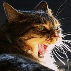 Picture for song '*NEW*Liquid Dreams' by artist 'Foorson'