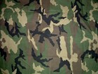 Picture for song 'Military March-Hip Hop Instrumental' by artist 'Foreign Currency'