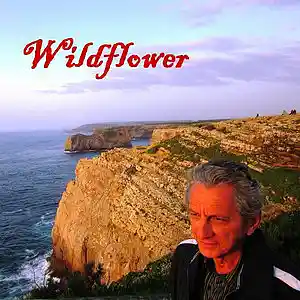 Song picture