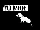 Picture for song 'Ceremonial Pet Show' by artist 'Fur Parlor'