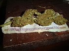 Picture for song 'gimme the weed' by artist 'fyahh foxx and akamr fisk'