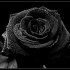 Picture for song '*NEW* Pleasure Pain | Free D/L' by artist 'G5 MusiQ'
