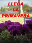 Picture for song 'LLEGA LA PRIMAVERA' by artist 'Gato Fuentes'