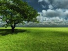Picture for song 'Under The Sun' by artist 'Glen Heffner'