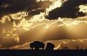 Picture for song 'Rest My Soul in Oklahoma new version REDUX' by artist 'global SOULdier'