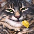 Picture for song 'A Long Way From Home' by artist 'Gnometones'