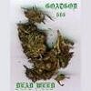 Picture for song 'Puritans Have Permeated Every Aspect Of OurSociety' by artist 'Goatgod'
