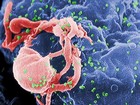 Picture for song 'AIDS Warfare' by artist 'Goethia Orator'