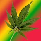 Picture for song 'Breathe Smoke' by artist 'Good Manners'