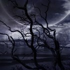Picture for song 'Dark Dreams (Eminem, Kid Cudi, Drake)' by artist 'GreezeOnTheBeat'