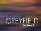 Picture for song '(I Don't Need A) Souvenir' by artist 'Greyfield'