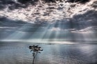 Picture for song 'For Ever (Smooth Beat!!) | $0.99 Demo DL' by artist 'GrindStar Beats'