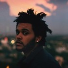 Picture for song 'The Mysterious Stranger' by artist 'Haas Music'