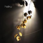 Picture for song 'Rubin' by artist 'haiku (DK)'