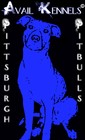 Picture for song 'Avail Kennels Intro' by artist 'Hand-Out Inc'