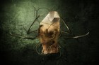 Picture for song 'A Gangsta Named T' by artist 'HaT Man'