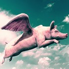 Picture for song 'PIGS MIGHT FLY (DIY)' by artist 'HeadboXX'