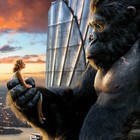 Picture for song 'Tender Aggression' by artist 'Hear Vibie'