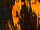 Picture for song 'non-activated-version-stigmadome-1289 135130' by artist 'Henri van Zanten and Stigmadome'
