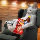 Picture for song 'What is a promise with Tom' by artist 'hilch'