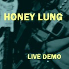 Picture for song 'Misanthrope Revenge' by artist 'Honey Lung'