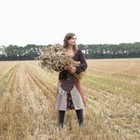 Picture for song 'Down in the Harvest(2)' by artist 'Howard Graves'