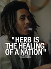 Picture for song 'Humbeats - Herbs' by artist 'Humbeats'
