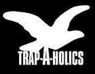 Picture for song 'Trapaholic (trap)' by artist 'iamwaybetterbeatz'
