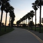 Picture for song 'West Coastin' by artist 'Indy boy Productions'