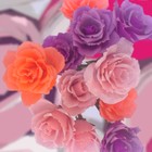 Picture for song 'Voor De Dreestekker (FREE)' by artist 'Infekt (NL)'