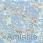Picture for song 'Amiable' by artist 'IvoryHeart'