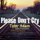 Picture for song '03. Please Don't Cry (Instrumental)' by artist 'Jack Kitty Records'