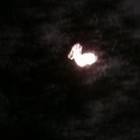 Picture for song 'Moonstone' by artist 'Jake Limon'