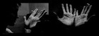 Picture for song 'A Hundred Middle Fingers' by artist 'Jamey Darnold'